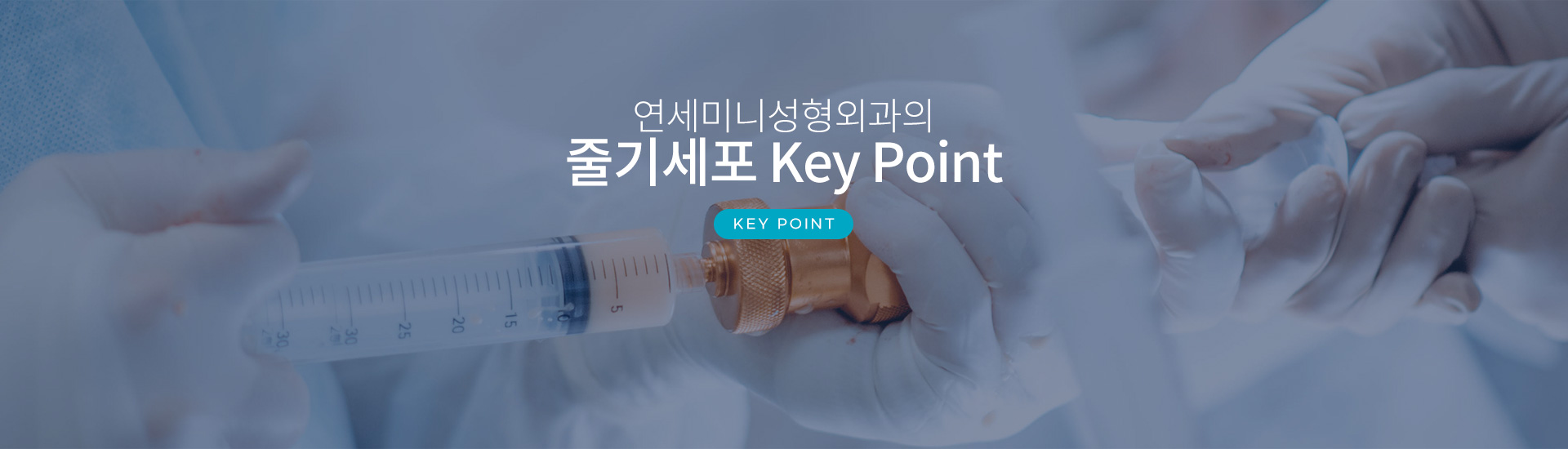 연세미니 성형외과의 줄기세포 Key Point